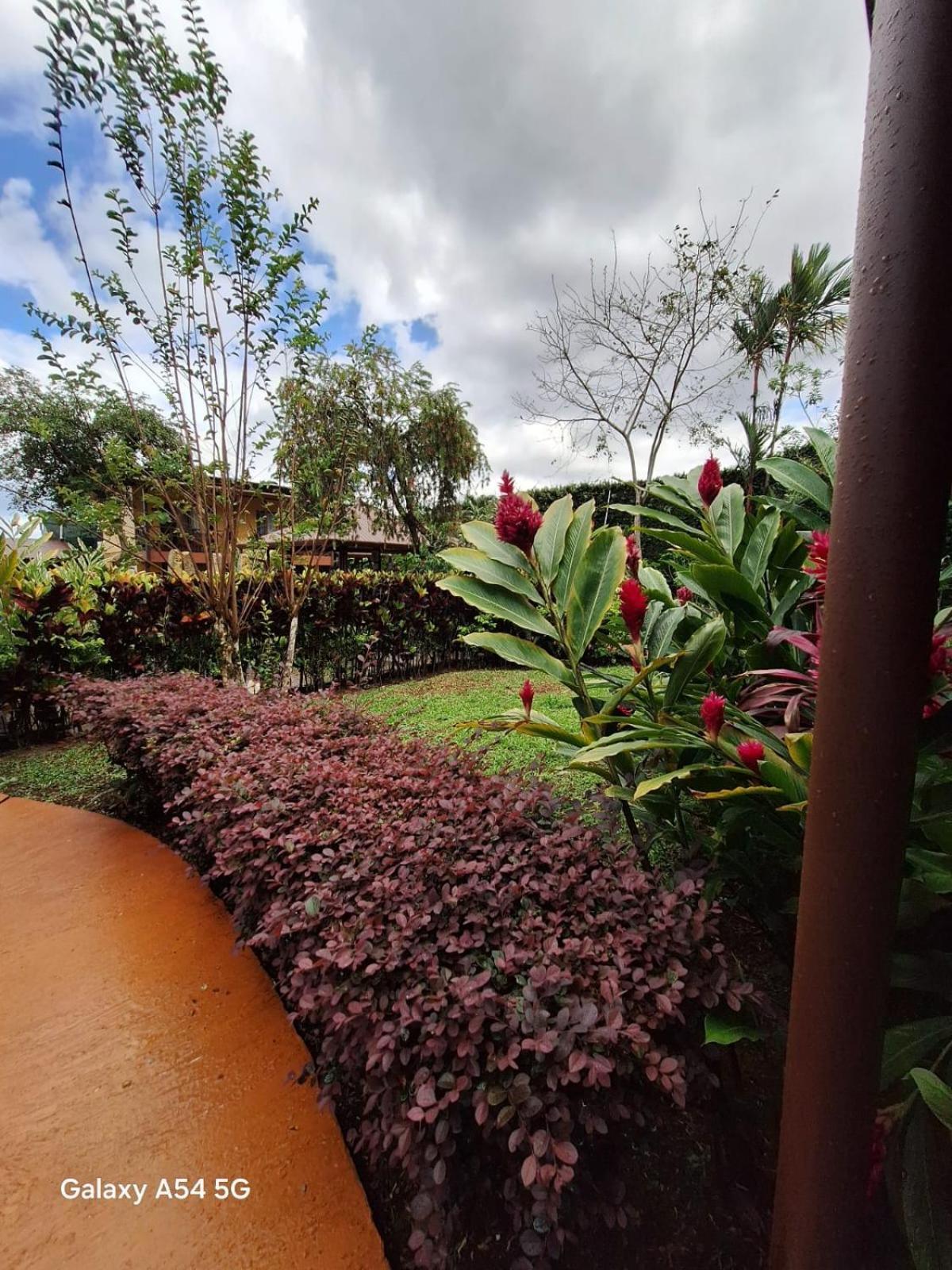 Iris Arenal Hotel La Fortuna Exterior foto